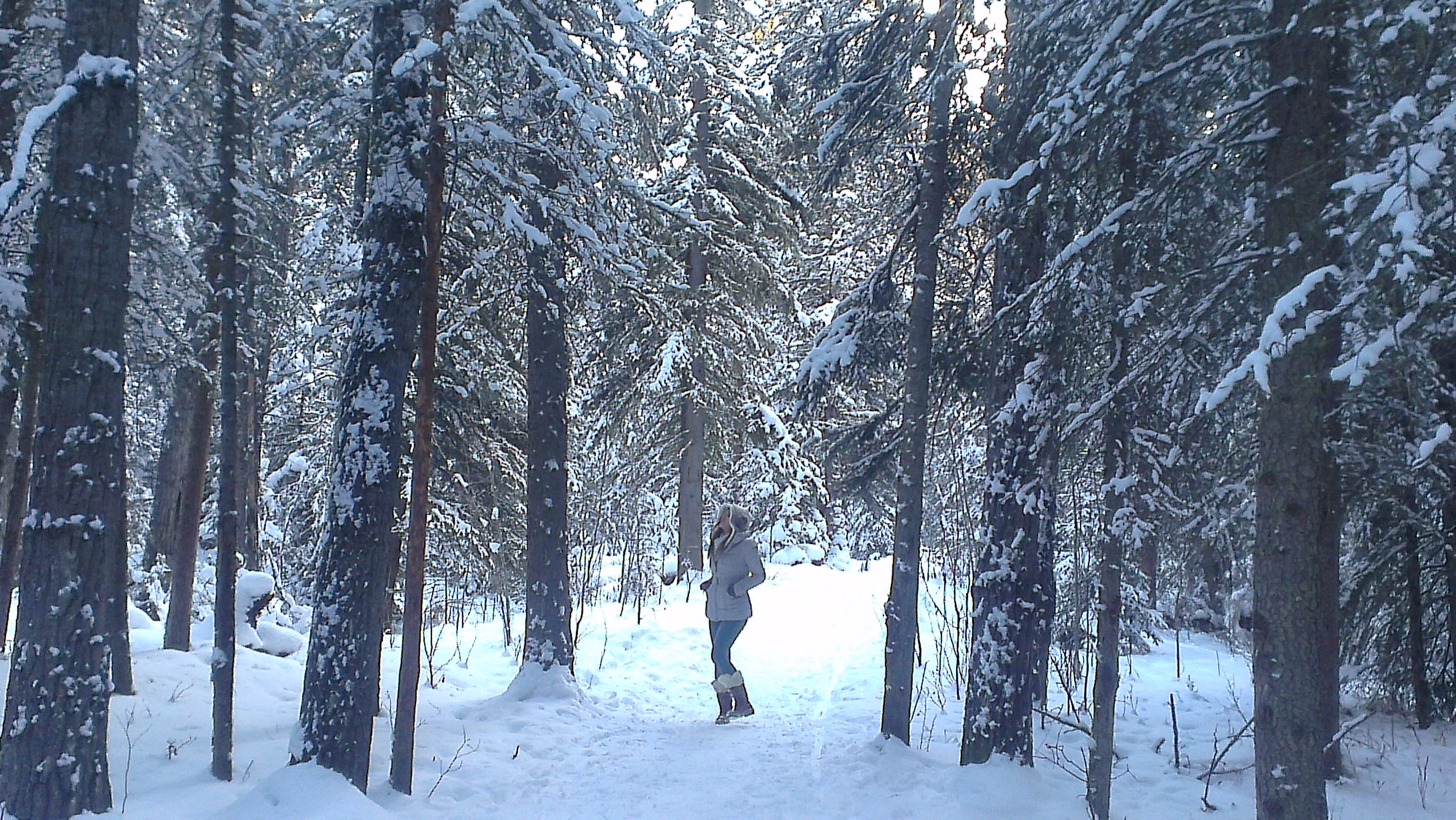 This walk through the woods cemented my love for nature. 