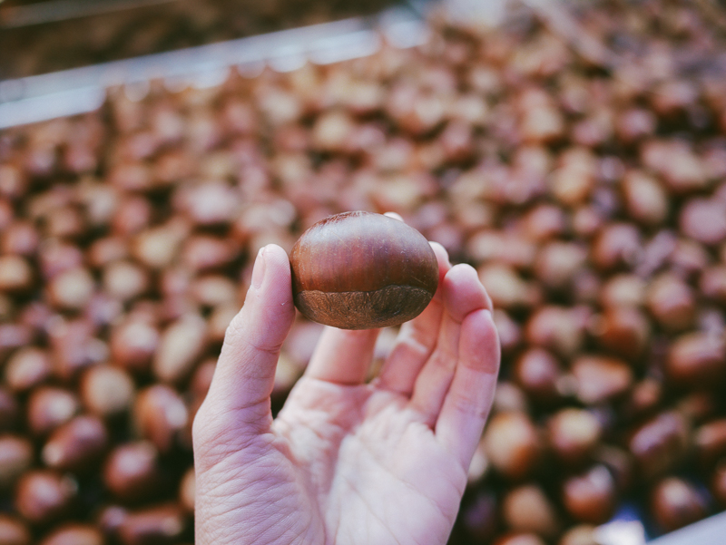 giant chestnut myeongdong