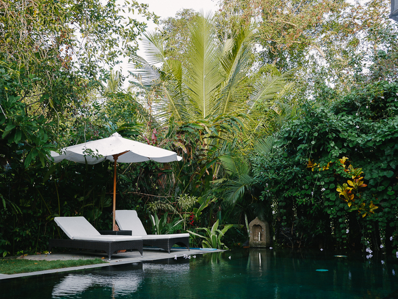 23 pool lounge beds