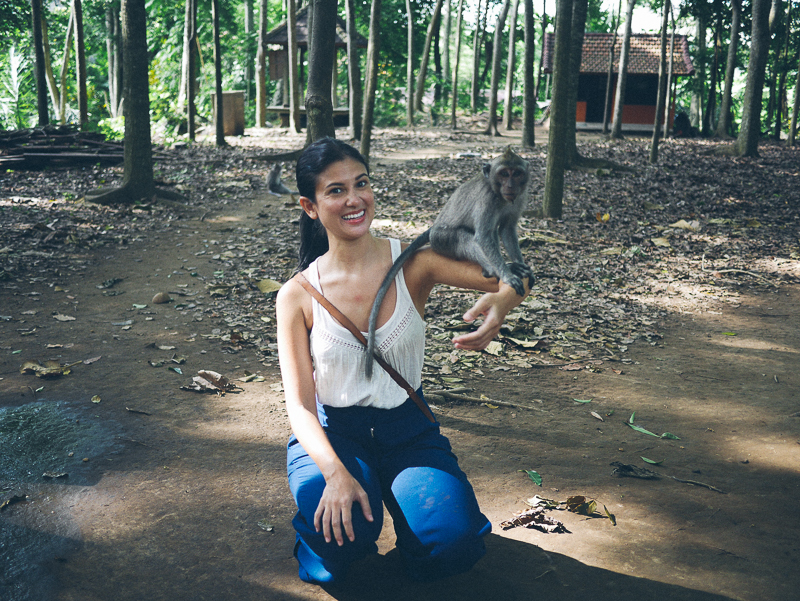 Monkey Forest Ubud bianca king monkey