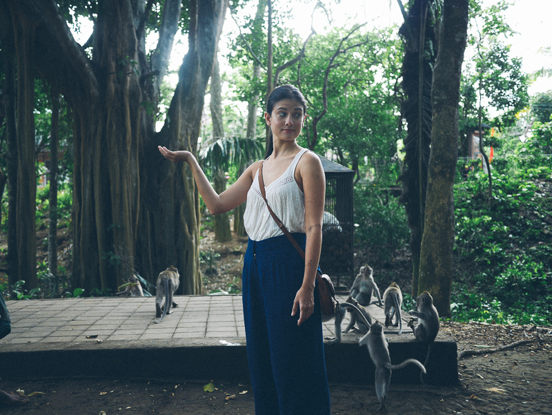 Monkey Forest Ubud bianca king waiting for monkey