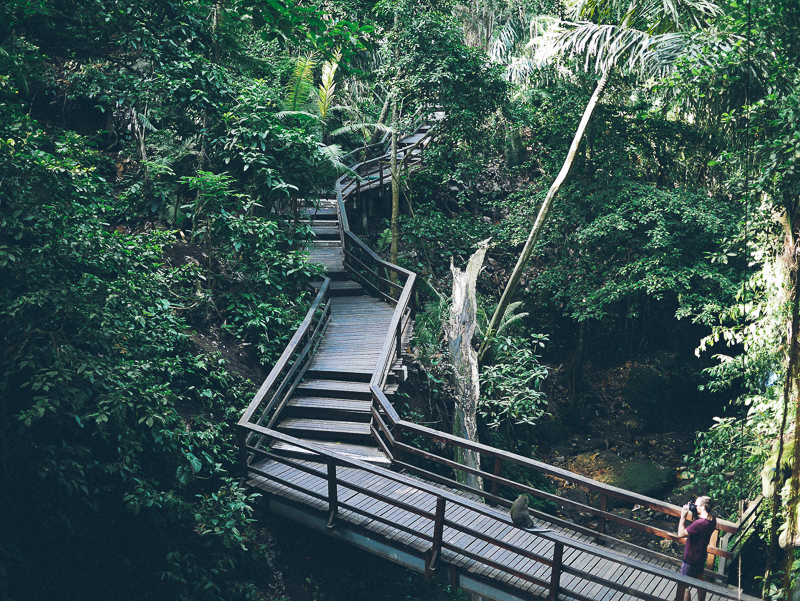 Monkey Forest Ubud bridge