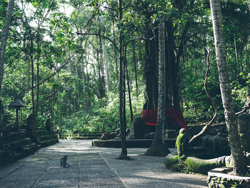 Monkey Forest Ubud