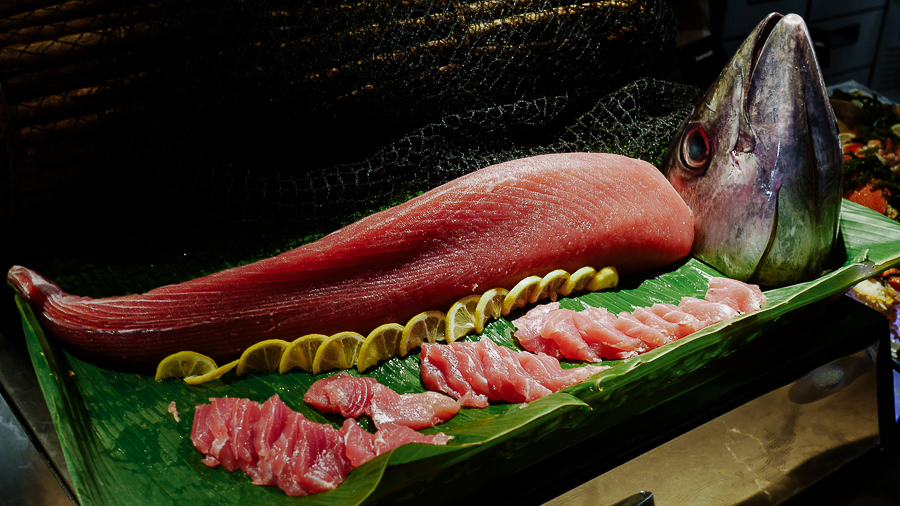 marco-polo-ortigas-cucina-restaurant-dinner-tuna